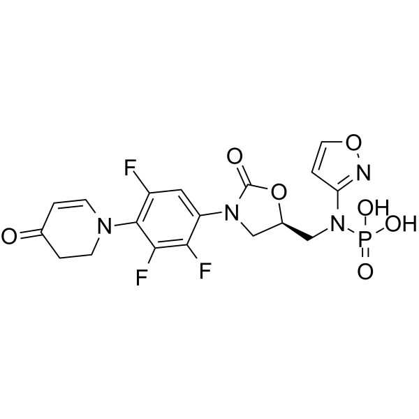 Contezolid phosphoramidic acid图片