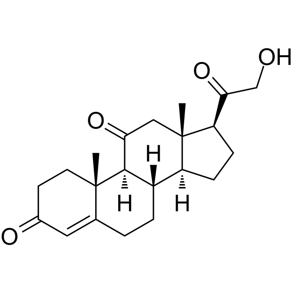 11-Dehydrocorticosterone图片