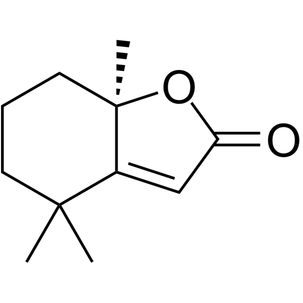 Dihydroactinidiolide图片