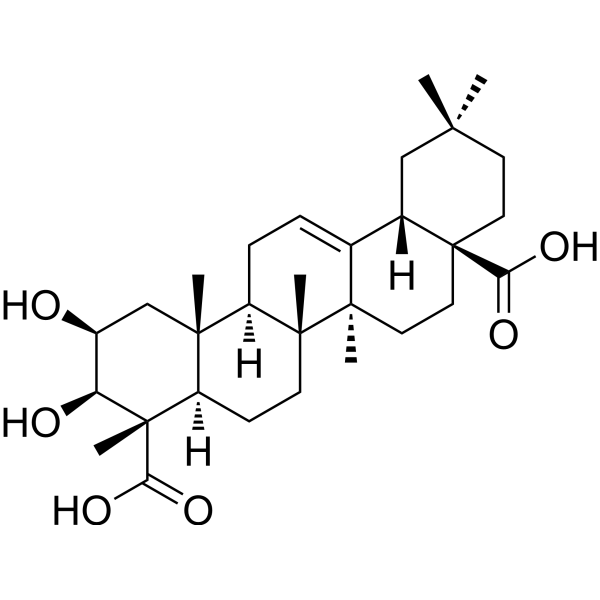 Medicagenic acid图片