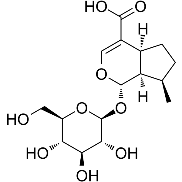 8-Epideoxyloganic acid图片