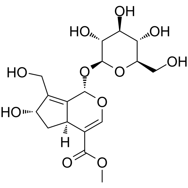 10-Hydroxy majoroside图片