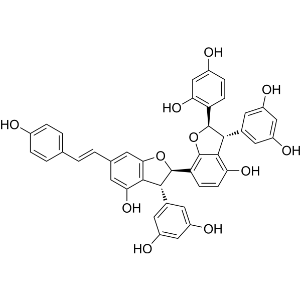 Gnetumontanin B图片