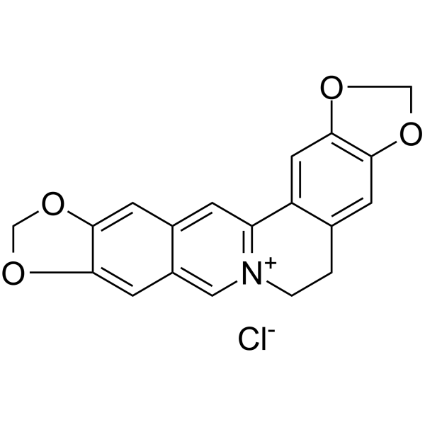 Pseudocoptisine chloride图片