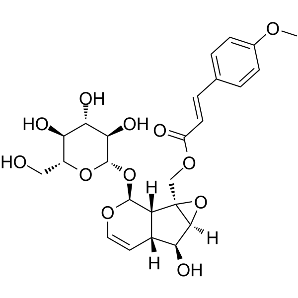 10-O-Trans-p-methoxycinnamoylcatalpol图片