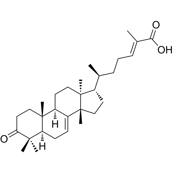 (E)-Masticadienonic acid图片