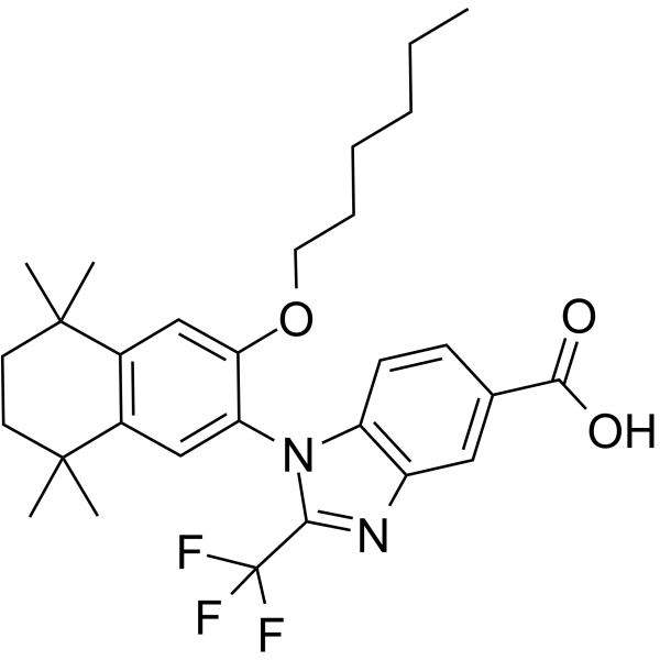 RXR antagonist 2图片
