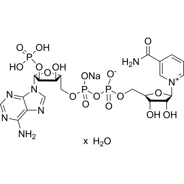 NADP sodium hydrate图片