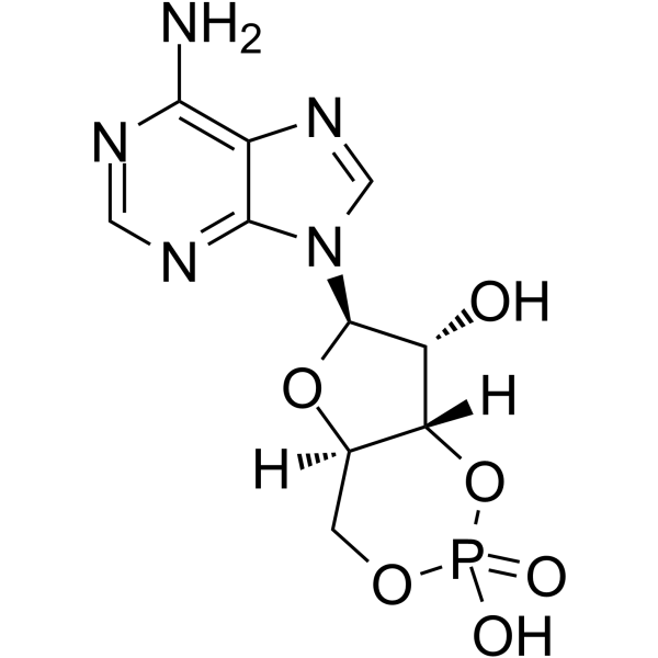 Cyclic AMP图片