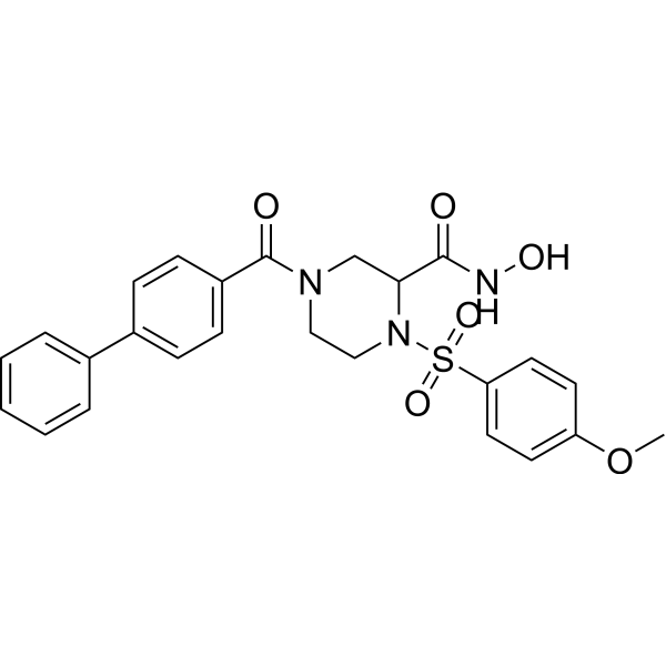 MMP-9/MMP-13 Inhibitor I图片