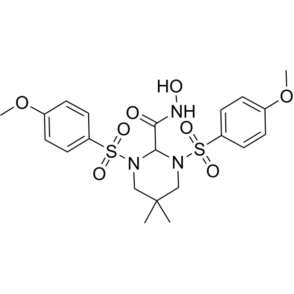 MMP Inhibitor II图片