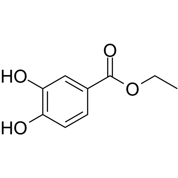 Ethyl 3,4-dihydroxybenzoate图片
