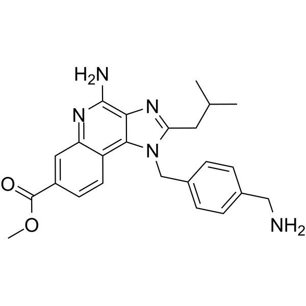 TLR7/8 antagonist 1图片