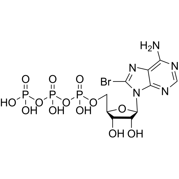 8-Bromo-ATP图片
