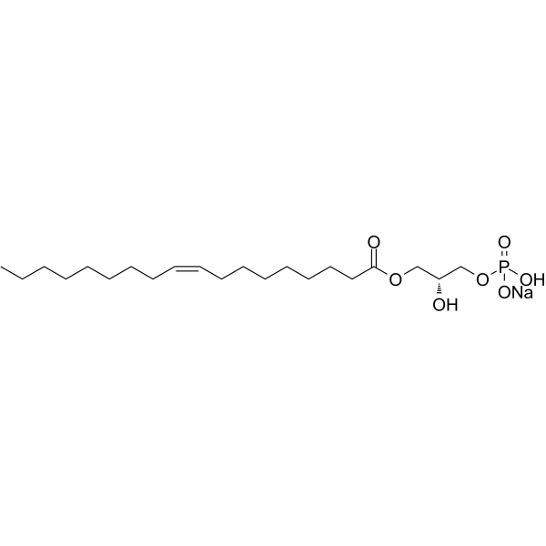 1-Oleoyl lysophosphatidic acid sodium图片