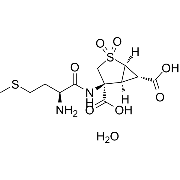 Pomaglumetad methionil图片
