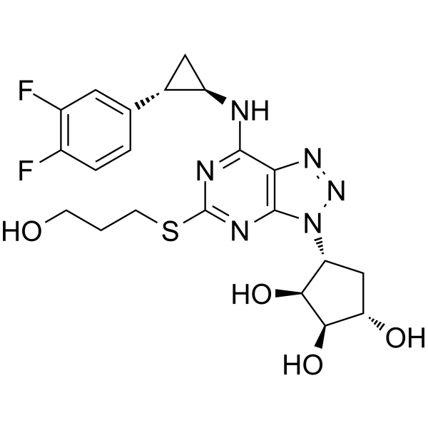 Antiplatelet agent 2图片