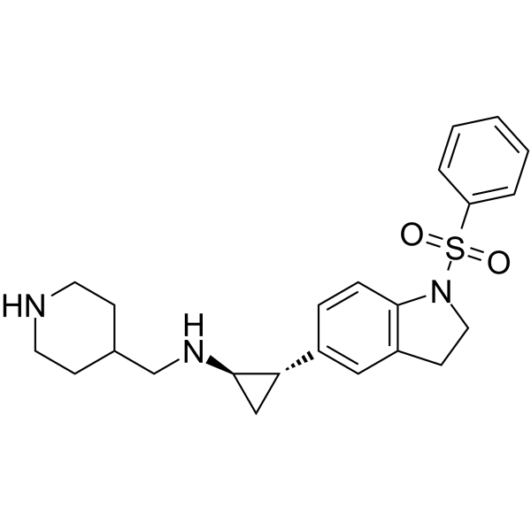 LSD1-IN-13图片