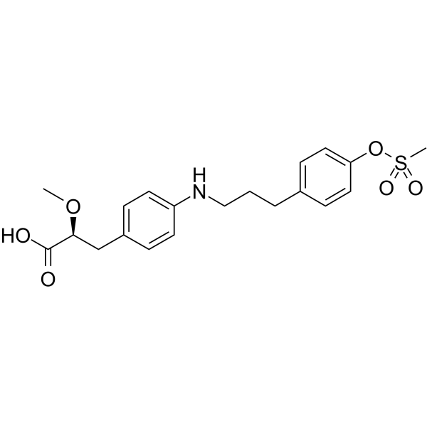 PPAR agonist 1图片