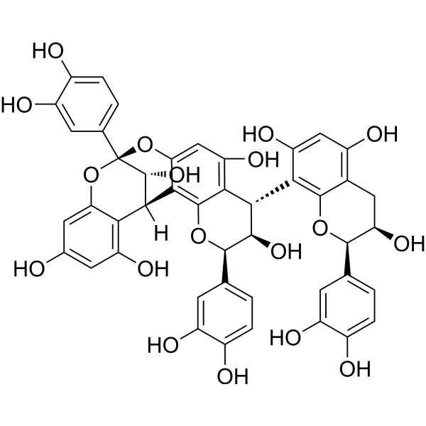 Cinnamtannin B-1图片