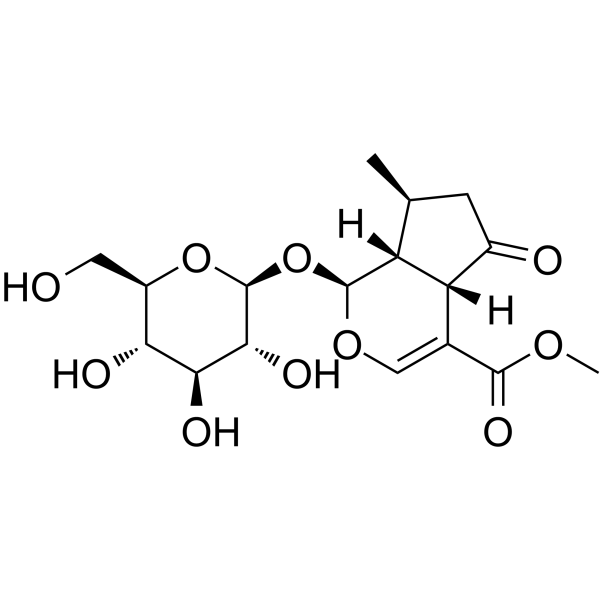 Verbenalin图片