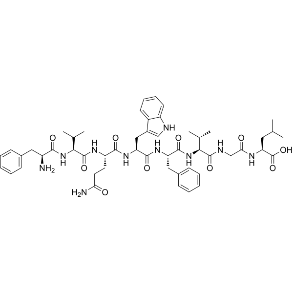 HBV Seq2 aa:179-186图片
