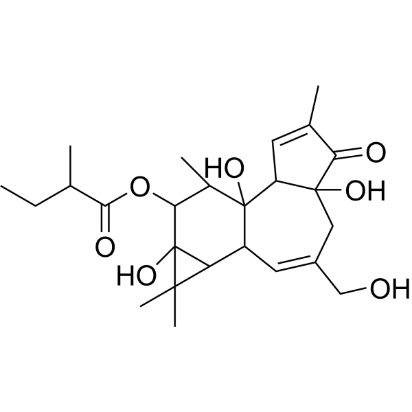 (Rac)-Phorbol-12-(2-methylbutyrate)图片