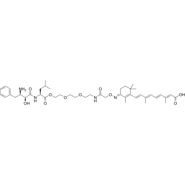 PROTAC CRABP-II Degrader-2图片