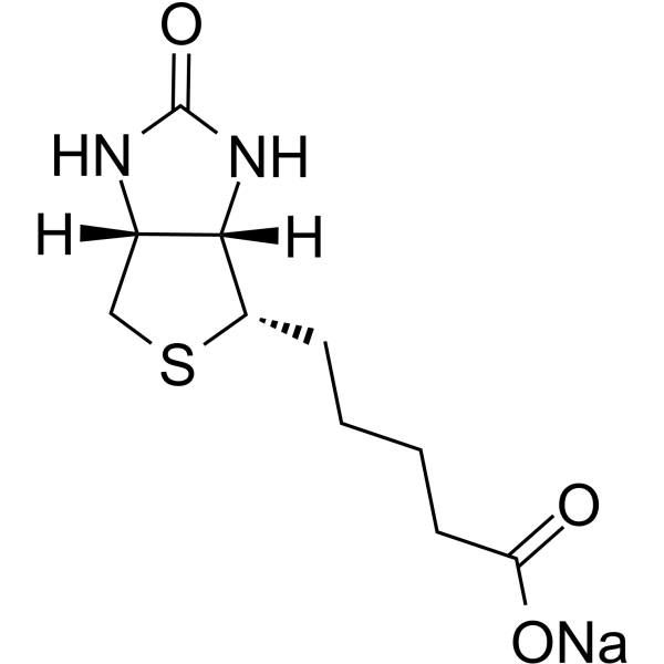 Biotin sodium图片