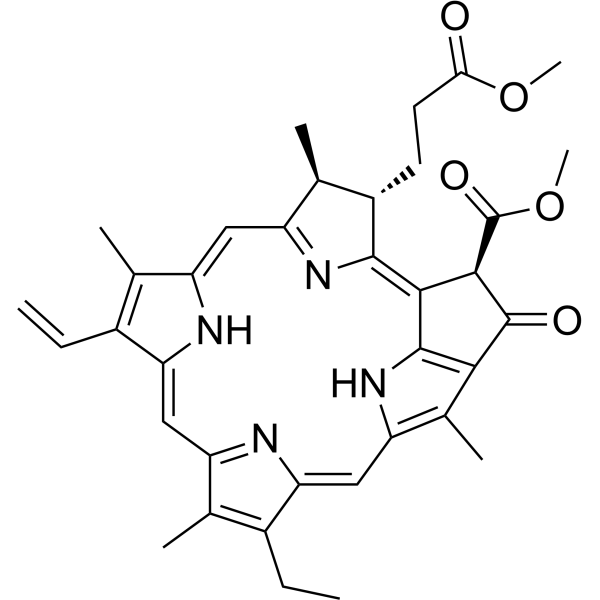 Methyl pheophorbide a图片