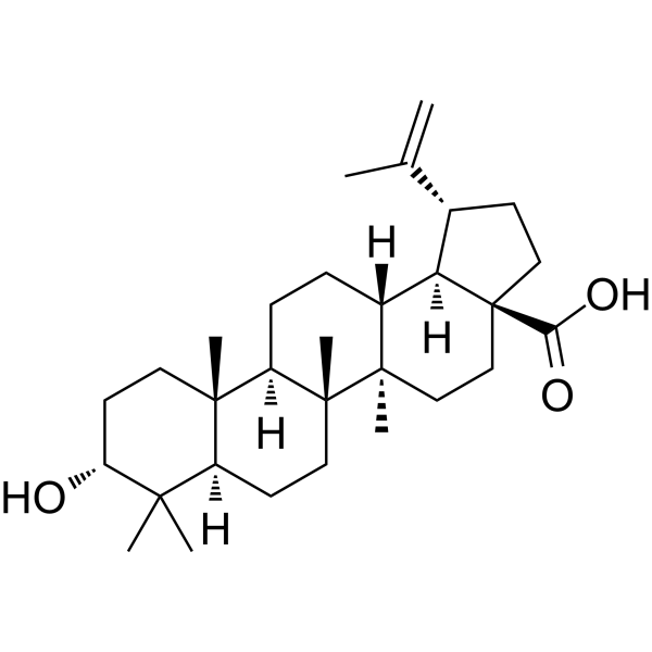 Epibetulinic acid图片