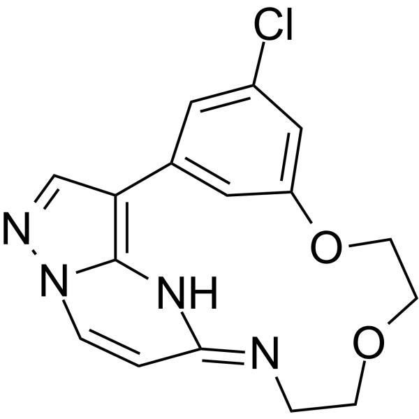 OD36图片