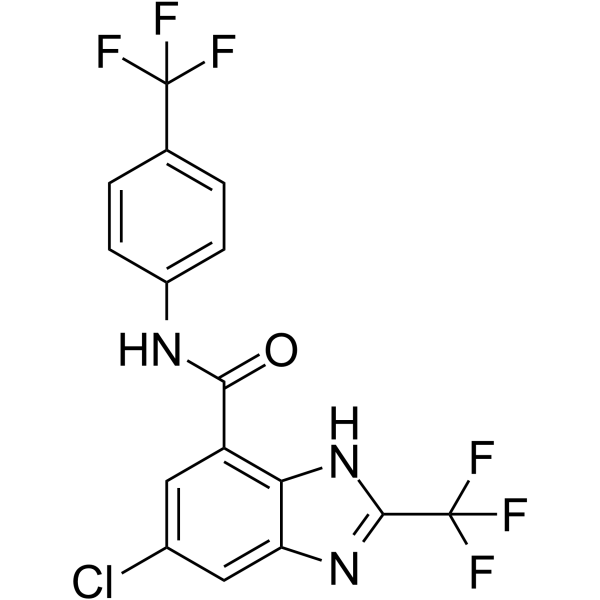 DK419图片