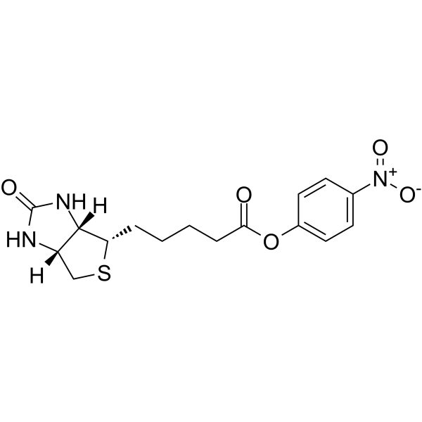 (+)-Biotin-ONP图片