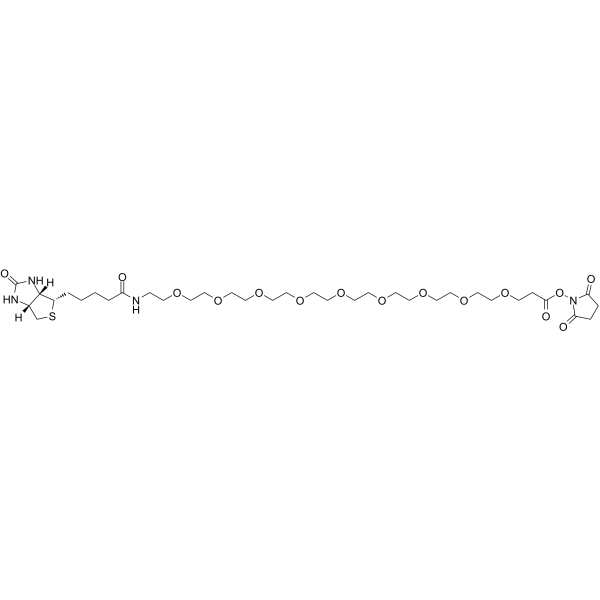 Biotin-PEG9-NHS Ester图片