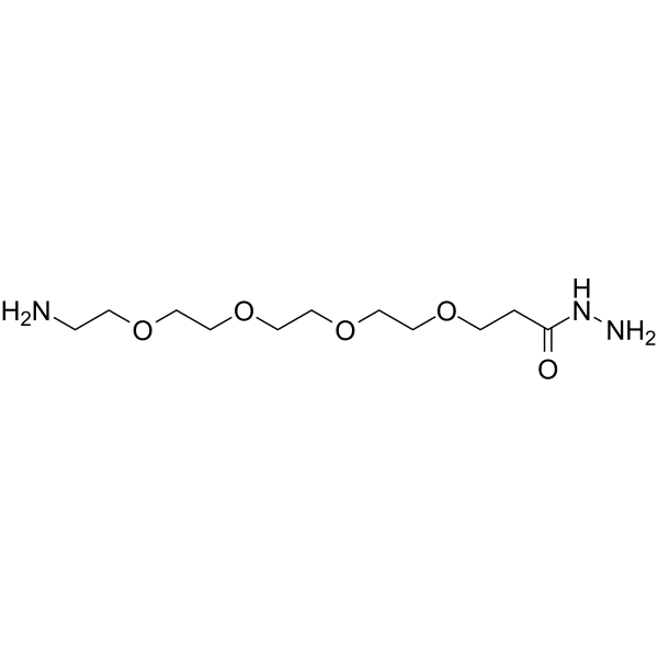 H2N-PEG4-Hydrazide图片