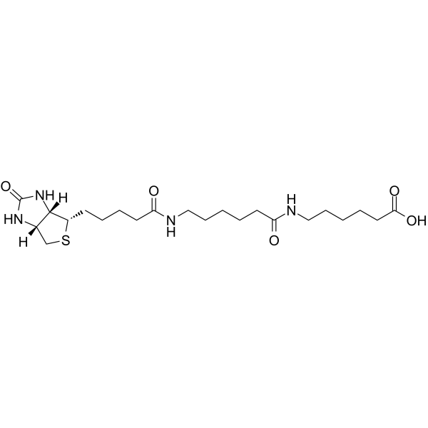 Biotin-C5-amino-C5-amino图片