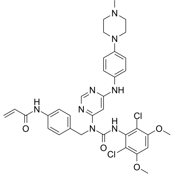 FIIN-3ͼƬ