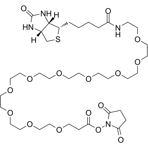 Biotin-PEG10-NHS ester图片