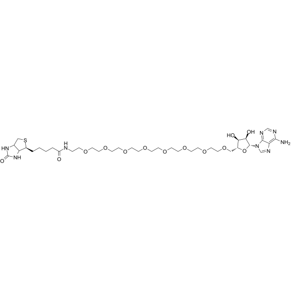 Biotin-PEG8-Vidarabine图片