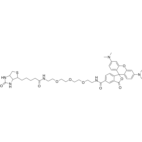 TAMRA-PEG3-biotin图片