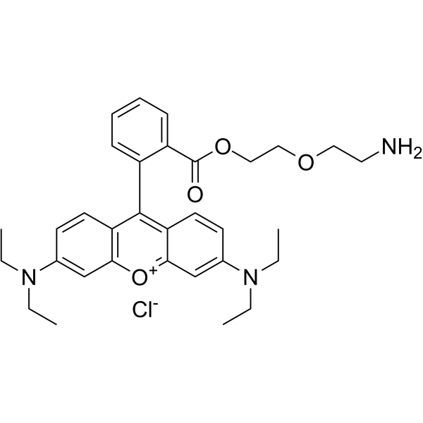 Rhodamine B PEG2-NH2图片