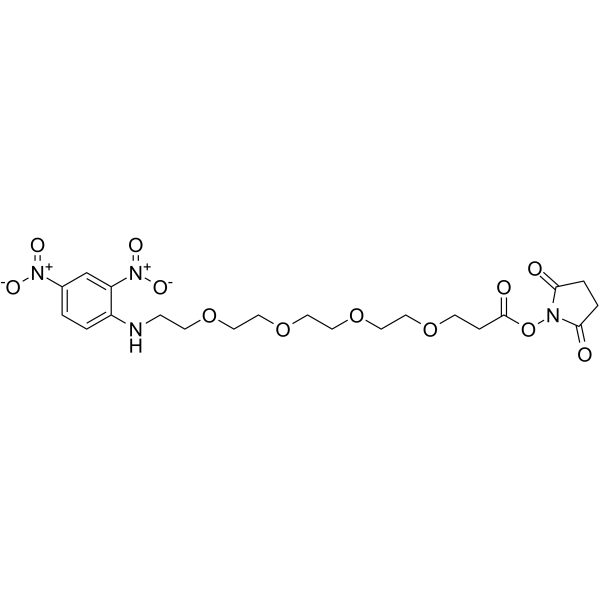 DNP-PEG4-NHS ester图片