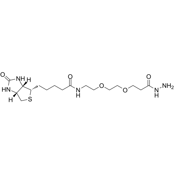 (+)-Biotin-PEG2-hydrazide图片