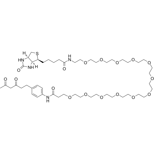 Diketone-PEG12-Biotin图片