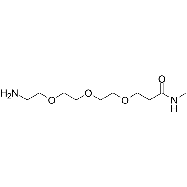 Methylacetamide-PEG3-NH2图片