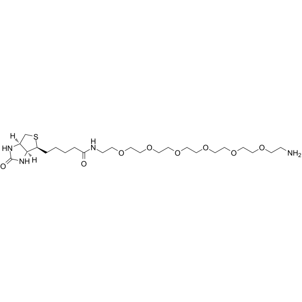 Biotin-PEG6-amine图片