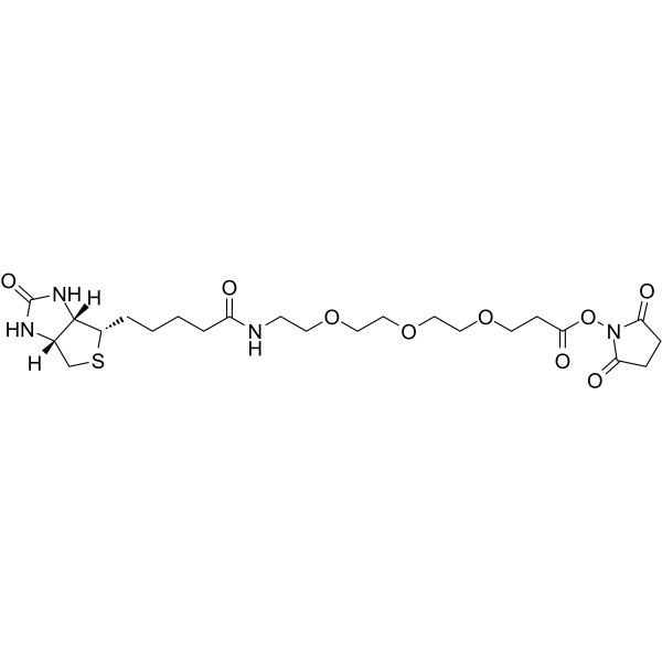 Biotin-PEG3-NHS ester图片
