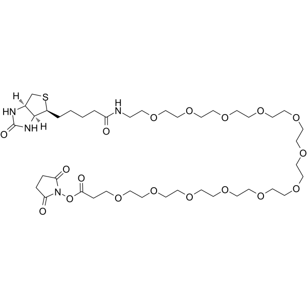 Biotin-PEG12-NHS ester图片