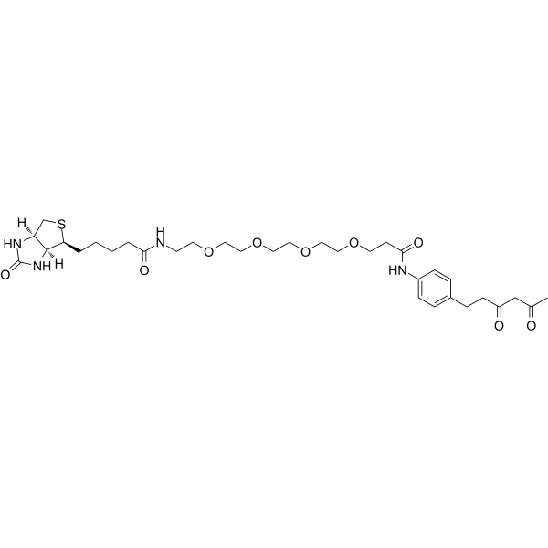 Diketone-PEG4-Biotin图片